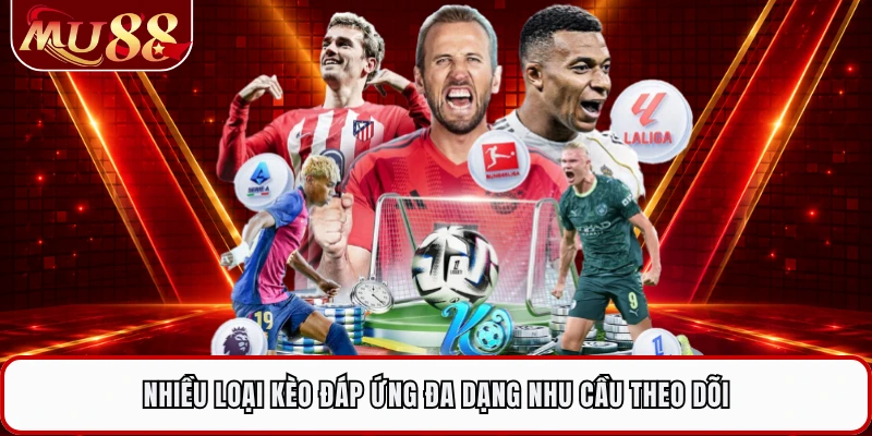 Nhiều loại kèo đáp ứng đa dạng nhu cầu theo dõi
